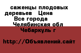 саженцы плодовых деревьев › Цена ­ 6 080 - Все города  »    . Челябинская обл.,Чебаркуль г.